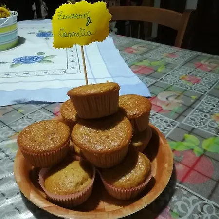 Angolo Felice