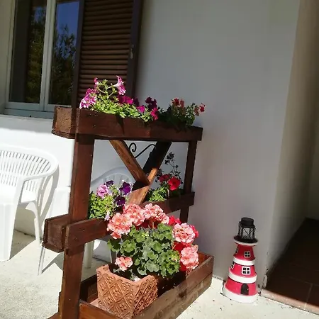 Alojamento de Acomodação e Pequeno-almoço Angolo Felice *