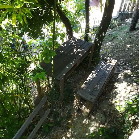 Angolo Felice Castignano