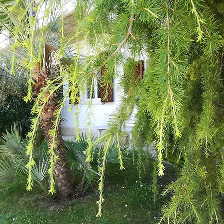 Angolo Felice Alojamento de Acomodação e Pequeno-almoço Castignano